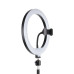 ST7026 - Havit Tripod With 10 Inches RGB RING LIGHT for Live Streaming ST7026 - Havit Tripod With 10 Inches RGB RING LIGHT for Live Streaming